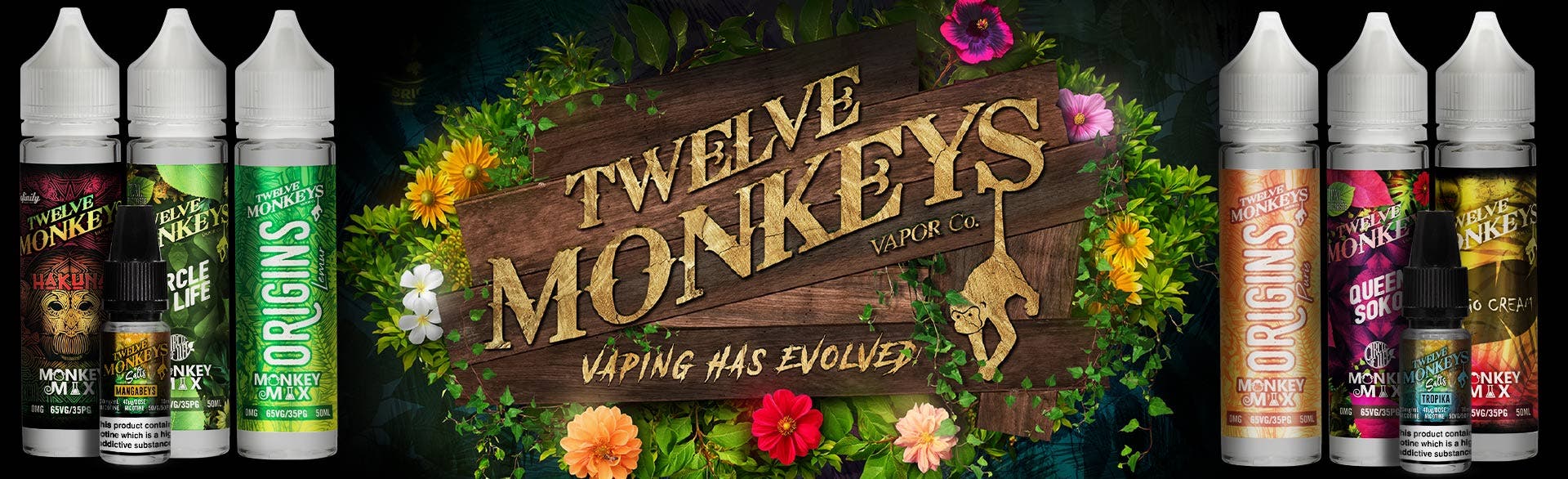 Twelve Monkeys